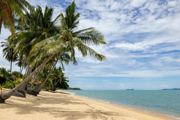 Explorez les Meilleures Écoles de Ski pour Enfants : Guide des Stations de Ski Incontournables