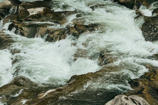 Quelles tendances touristiques devraient dominer l'année prochaine ?