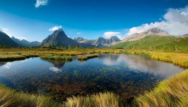Évasion Campagnarde en France : Plongée dans la Sérénité du Tourisme Rural